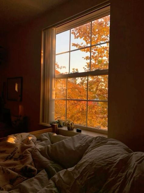 #fall #autumn #autumncolors #autumnmood #aesthetics #September #October #november Autumn Playlist Cover, Tis Autumn, Fall Vision Board, Studera Motivation, Spotify Aesthetic, Fall Board, Fall Boards, Fall Mood Board, Inspiration Tattoos