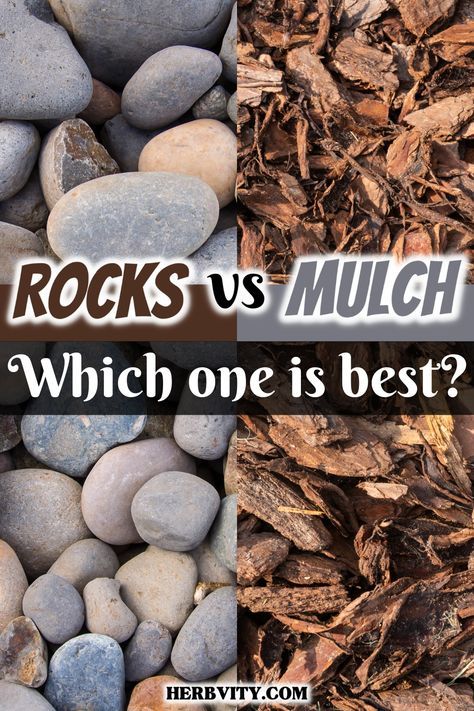 Mulch vs rocks are two main components of gardening. Each has its own benefits and drawbacks. After reading this post, you should have a good idea which one works best for your garden, or if you want to use both. Front House Rock Landscaping, River Gravel Landscaping Ideas, Mulch Over Rock Bed, Outdoor Mulch Ideas, Rocks In Garden Bed, Stones Landscaping Ideas, Stones In Flower Beds, Landscaping With River Rocks Flower Beds, Gravel Flower Bed Ideas Front Yards