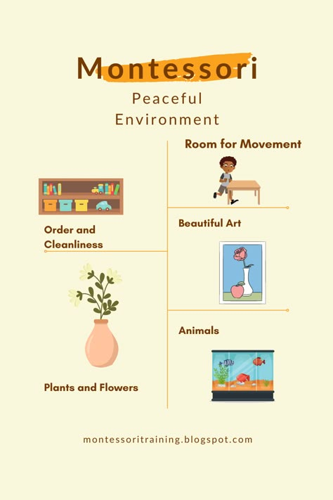 Infographic about creating a Montessori environmetn What Is Montessori Education, Montessori Teaching Methods, Daycare Montessori, Montessori Tips, Montessori Training, Montessori Lesson Plans, Montessori Philosophy, Montessori Kindergarten, Montessori Environment