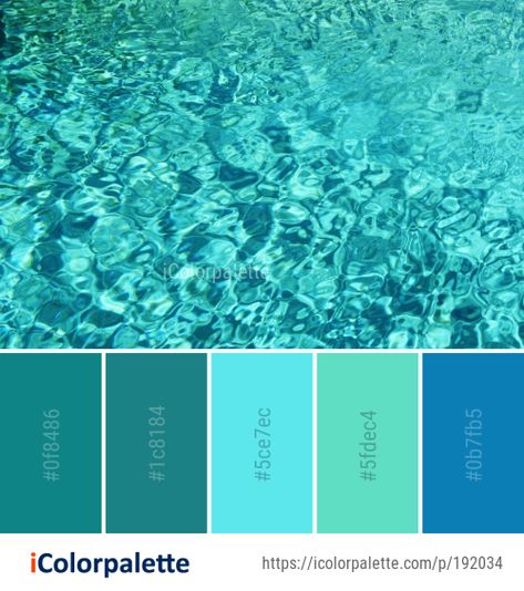 Color palette theme related to aqua, azure, blue, coral reef, Image, marine biology, organism, reef, turquoise, underwater, water, . Download color palette as Pdf, Adobe swatch and more. Aqua Marine Color Palette, Aqua Accessories, Aqua Color Schemes, Aqua Color Palette, Ocean Color Palette, Australian Colours, Blue Contrast Color, Colour Pallettes, Beige Couch