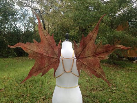 court of the fey wings Leaf Fairy Wings, Leaf Fairy, Diy Fairy Wings, Leaf Wings, Peer Gynt, Fairy Photoshoot, Costume Wings, Diy Wings, Autumn Fairy