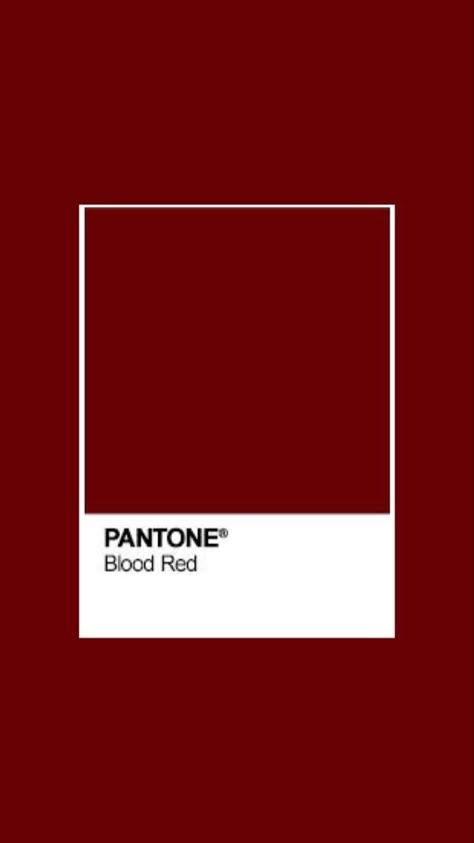 Red Pantone, Pantone Red, Blood Red Color, Pantone Palette, Pantone Colour Palettes, Red Colour Palette, Mood Food, Online Quiz, Pantone Colors