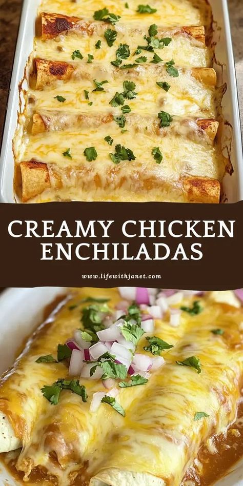 EASY CREAMY CHICKEN ENCHILADAS Chicken Enchiladas Canned Chicken, Creamy Pulled Pork Enchiladas, Ranch Chicken Enchiladas Easy, Chuys Chicken Enchiladas, Easy Cheesy Enchiladas, Enchilada Recipes Chicken, Low Cal Chicken Enchiladas, Enchilada Baked Chicken, Lazy Chicken Enchiladas