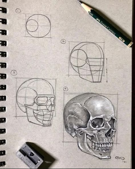 Skull Drawing Sketches, Skull Sketch, Skeleton Drawings, Skull Art Drawing, Skulls Drawing, Human Anatomy Art, Human Head, Sketches Tutorial, Skull Drawing