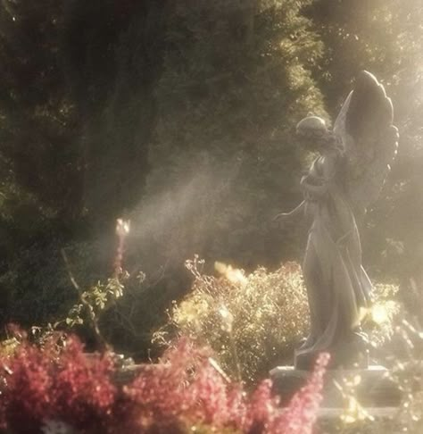 #greekmythology #greekgods #persephone Faerie Aesthetic, Angel Statue, Ethereal Aesthetic, Fairy Aesthetic, Angel Aesthetic, Aesthetic Flowers, Pretty Landscapes, Xiamen, Fantasy Aesthetic