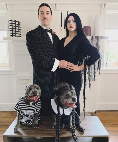 Family Dog Costumes, Halloween Costumes Addams Family, Pitbull Halloween Costumes, Halloween Costume Winners, Puppy Halloween Costumes, Halloween Family Costumes, Costumes For Dogs, Cute Couples Costumes, Cute Couple Halloween