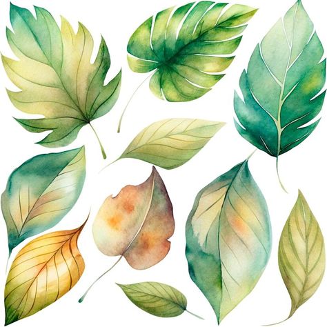 Premium PSD | A collection of different leaves and fruits including one that has the leaves on it Different Leaves, Plant Clipart, Printable Leaves, Leaves Sketch, Leaf Watercolor, Colouring Ideas, Leaf Clipart, Tropical Patterns, Leaf Illustration