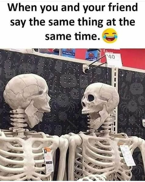 Vojenský Humor, Spooky Memes, National Best Friend Day, Halloween Memes, Best Friend Day, Bff Quotes Funny, Friend Memes, Funny Joke Quote, Bff Quotes