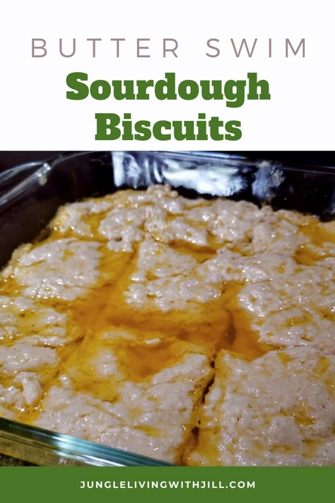 Delicious, super simple biscuits, made from sourdough discard... and swimming in butter! Buttery and crunchy on the outside, soft on the inside! No kneading & no rolling! #sourdoughdiscardrecipes #discardrecipes #biscuitrecipe #butterswimbiscuits Sourdough Butter Biscuits, Swim Biscuits Without Buttermilk, Sourdough Buttermilk Biscuits, Sourdough Discard Biscuits Easy, Sourdough Biscuits Recipe, Sourdough Discard Biscuits, Easy Homemade Butter, Simple Biscuits, Butter Biscuits Recipe