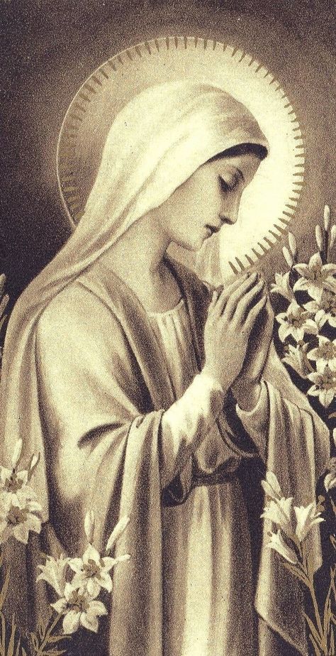 Virgin Mary Aesthetic, Roman Catholic Art, Virgin Mary Art, Mother Mary Images, Rennaissance Art, Blessed Mother Mary, The Virgin Mary, Biblical Art, Jesus Art