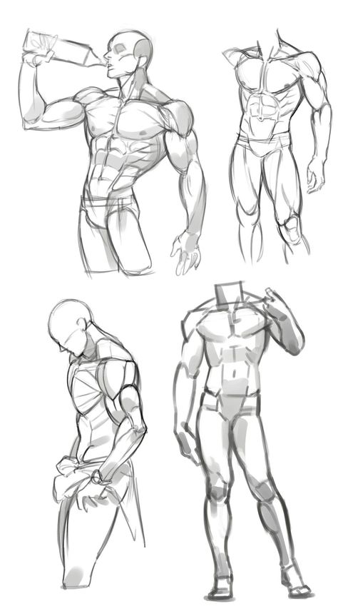 Muscle Figure Reference, Man Physique Sketch, Muscle Figure Drawing, Muscular Male Poses Drawing Reference, Drawing Reference Poses Male Muscle, Male Anotamy Poses, Male Antonamy Drawing, Back Muscle Drawing, Muscles Reference Drawing