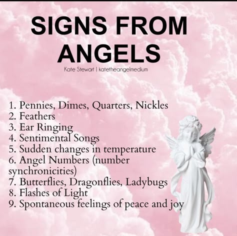 Angel Meditation, Kate Stewart, Angel Spirit, Archangel Prayers, Spirit Signs, Spiritual Readings, Angel Guide, Angel Signs, Angel Quotes