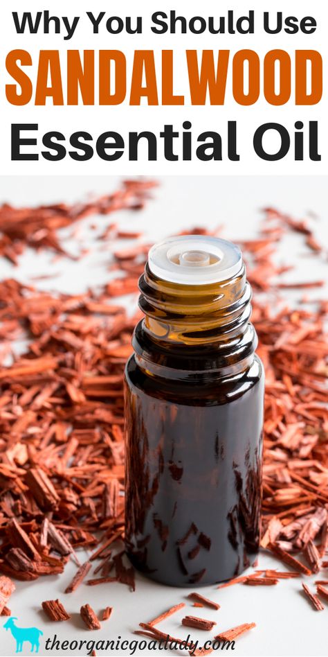 Why You Should Use Sandalwood Essential Oil - The Organic Goat Lady Sandalwood Essential Oil Benefits, Sandalwood Oil Benefits, Sandlewood Essential Oil, Sandalwood Essential Oil, Sandalwood Oil, Essential Oil Benefits, Carrier Oil, Essential Oil Diffuser Blends, Oil Diffuser Blends