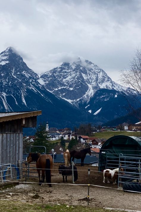 Horses in the Austrian Alps🐎🏔️ House In Switzerland, Austrian Alps, House Aesthetic, Central Europe, Places I Want To Go, Switzerland, Dream House, Farmhouse, Horses