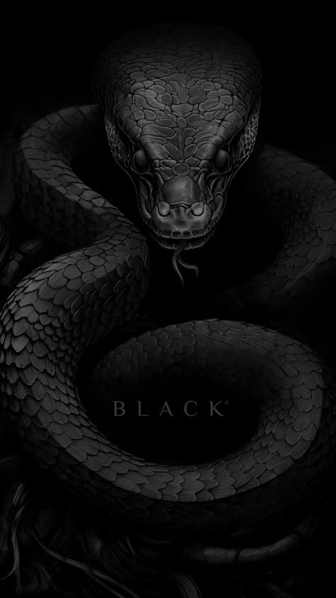 Snake Pfp Aesthetic, Luxury Black Wallpaper, Black Snake Wallpaper, Black Snake Art, Lock Screen Wallpaper Disney, Snakes Aesthetic, Ground Wallpaper, Aesthetic Snake, Snake Aesthetic