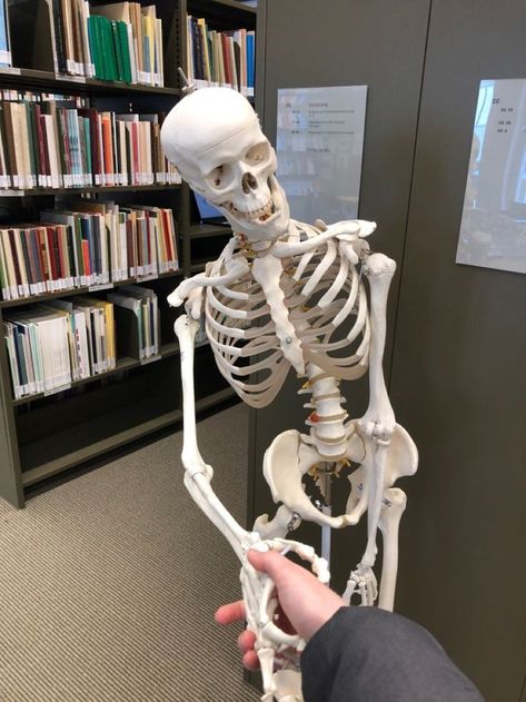 Skeleton Studying, Med School Aesthetic, Medical Skeleton, Skeleton Medical, Aesthetic Doctor, Medical Pictures, Medical School Life, Medical Student Motivation, Nurse Aesthetic