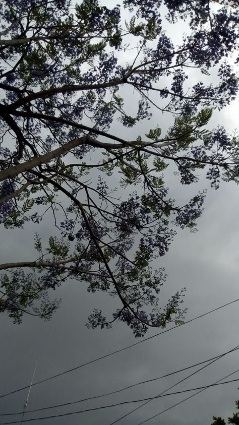 Cloudy Mountain Aesthetic, Rain Fake Snap, My Priority Is Me, Rainy Day Pictures, Rainy Photos, Rainy Day Photography, Rainy Sky, Rainy Day Aesthetic, Hiking Pictures