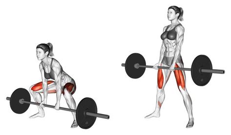 Chest And Tricep Workout, Sumo Deadlift, Barbell Deadlift, Powerlifting Training, Inner Thigh Workout, Triceps Workout, Thigh Exercises, Gym Rat, Powerlifting