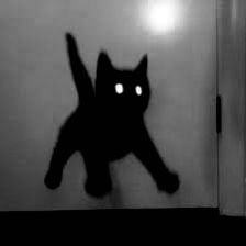 White Glowing Eyes, White Cat Meme, All Black Cat, Jumping Cat, Black Cat Aesthetic, Meme Cat, Black Cat Anime, White And Black Cat, Any Pronouns