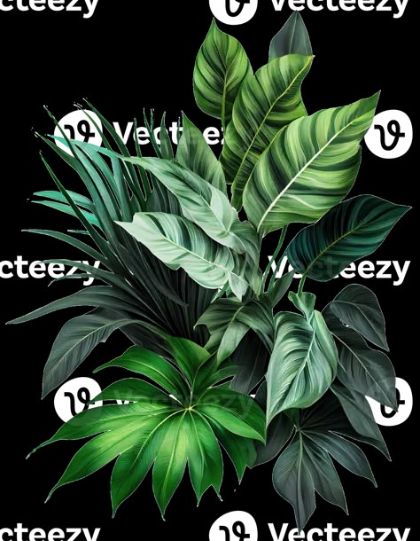 Tropical leaves foliage plant bush floral arrangement on transparent background, created with Caribbean Plants, Tropical Illustration Graphics, Tropical Leaves Illustration, Plant Tattoos, Tropical Vegetation, Tropical Elements, Garden Picture, Tropical Illustration, Tropical Greenery