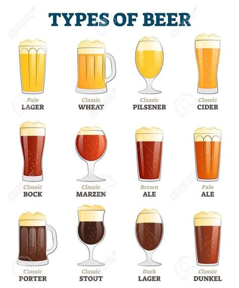 Illustration Types, Liquor Snapchat, Different Types Of Alcohol, Alcohol Guide, Types Of Alcohol, Beer Types, Beer Guide, Beer Illustration, Types Of Beer