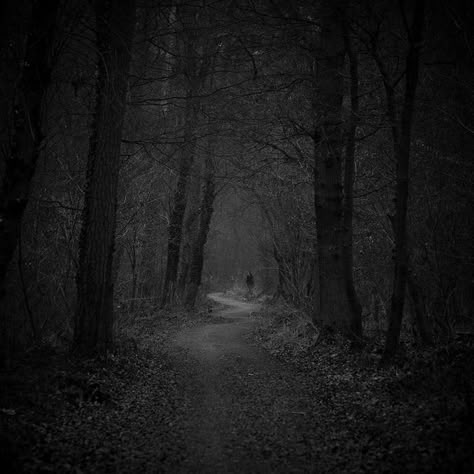 Dark Forest Path: 	He was on a narrow path with thick trees providing fairly good cover from the weather, but could prove to be dangerous in a powerful storm. Dark Landscape, Dark Woods, Alone Photography, Forest Path, 다크 판타지, Deep Forest, Dark Places, Black N White Images, Dark Photography