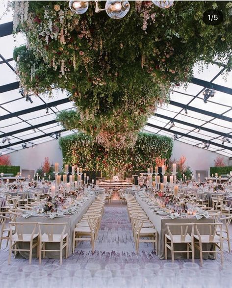 Glass Greenhouse Wedding, Tent Lighting Ideas, Clear Top Tent Wedding, Dripping Flowers, Rewind Button, Clear Top Tent, House Tent, Long Tables, Greenhouse Wedding