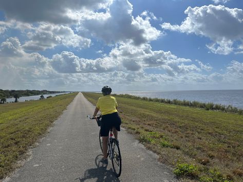 23 best Florida bike trails: Our favorites for scenic bicycling 5 Florida Trail, Crandon Park, Bicycle Trail, Bike Trip, Florida State Parks, Riding Bikes, Gainesville Florida, Everglades National Park, Cycling Trips