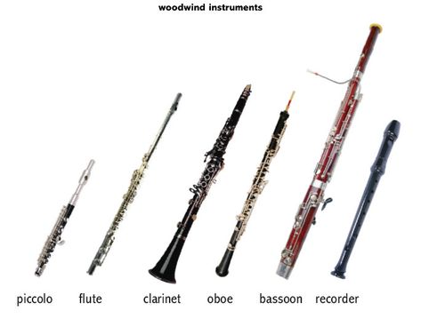 Woodwind Instruments - a family of musical instruments within the more general category of wind instruments. There are two main types of woodwind instruments: flutes and reed instruments (otherwise called reed pipes). What differentiates these instruments from other wind instruments is the way in which they produce their sound. Messy Science, More Synonyms, Music Flashcards, Quotes Classroom, Instrument Families, Wind Instruments, Woodwind Instrument, Brass Instruments, Woodwind Instruments