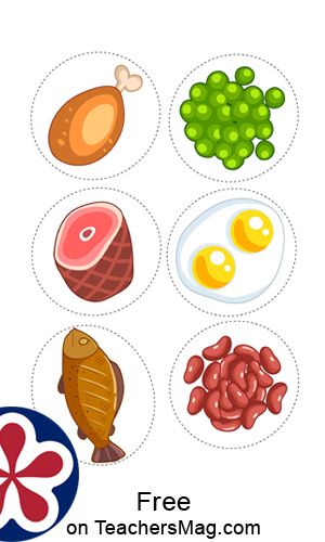 Foods Printable, Food Images Design, Food Sorting Preschool Free Printable, My Plate, Food Group, Healthy Food Images, Food Images, Food Groups, My Food