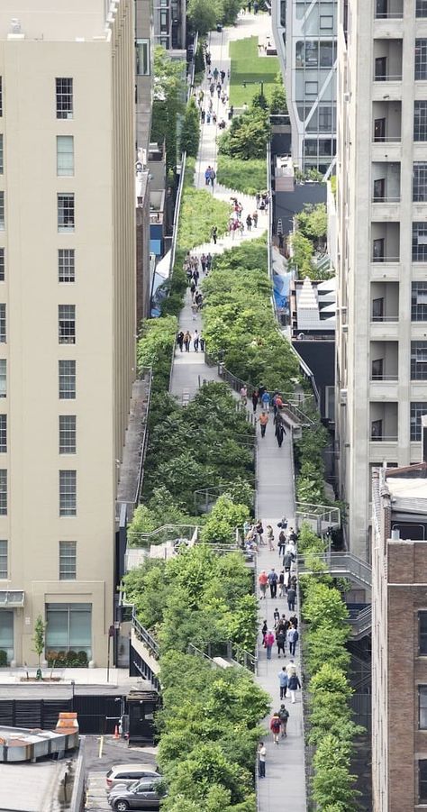 High Line in New York City New York High Line, Linear Park, Urban Landscape Design, Pedestrian Bridge, Green City, High Line, City Design, Futuristic Architecture, Urban Planning