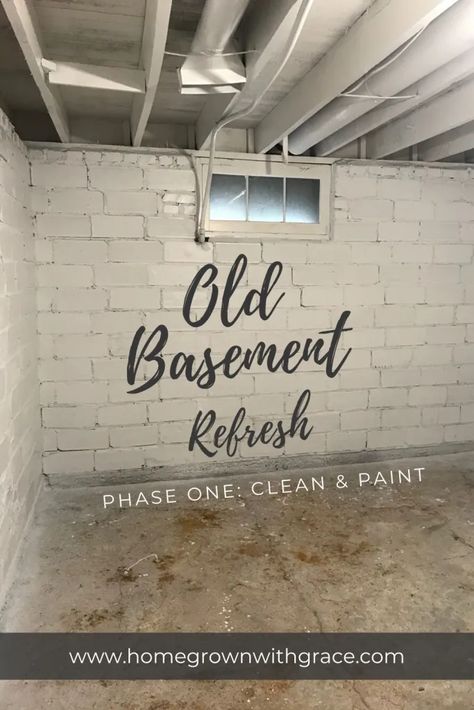 Basement Update On A Budget, Unfinished Basement Organization Ideas, Block Basement Wall Ideas, Rustic Basement Design Inspiration, Garage Basement, Diy Basement Renovation, Basement Clean Up Ideas, Ideas For Basement Walls, Basement Diy Unfinished