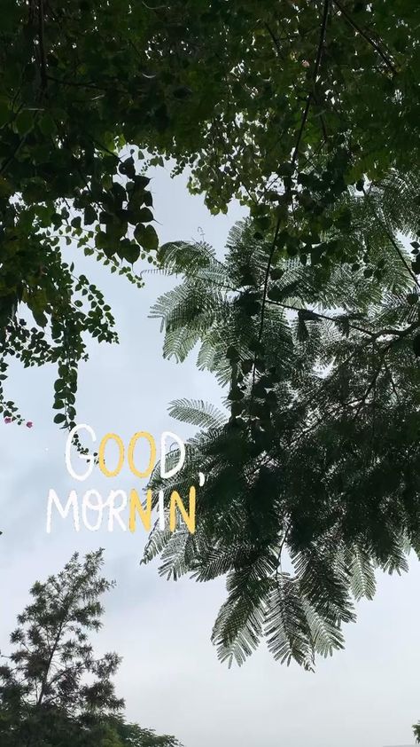 Good Morning Sky Instagram Story, Good Morning Images Snapchat, Morning Pics Snapchat, Ig Morning Story Ideas, Morning Fake Story Instagram, Snapchat Morning Stories, Fake Insta Story Morning, Instagram Good Morning Story, Good Morning Snap Snapchat