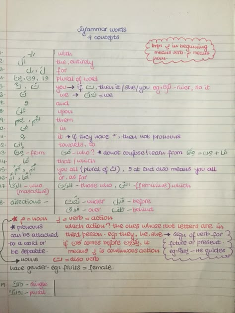 Basic grammar of the Qur'an  #Arabic #Learning Arabic Notes Study, Quran Tafseer Notes In Urdu, Culture Questions, Study Arabic, Arabic Notes, Plural Words, Quranic Arabic, Vocabulary Notebook, Surah Baqarah