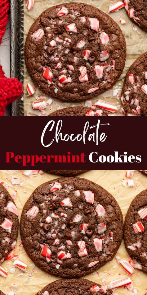 Chocolate Peppermint Cookies - I Heart Eating Chocolate Peppermint Drop Cookies, Christmas Cookies Recipes Chocolate Peppermint, Chocolate Peppermint Cookies Easy, Cocoa Peppermint Cookies, Easy Christmas Cookies Peppermint, Cookie Exchange Cookie Recipes, Cookies With Crushed Peppermint, Hot Cocoa Peppermint Cookies, Chocolate Peppermint Christmas Cookies