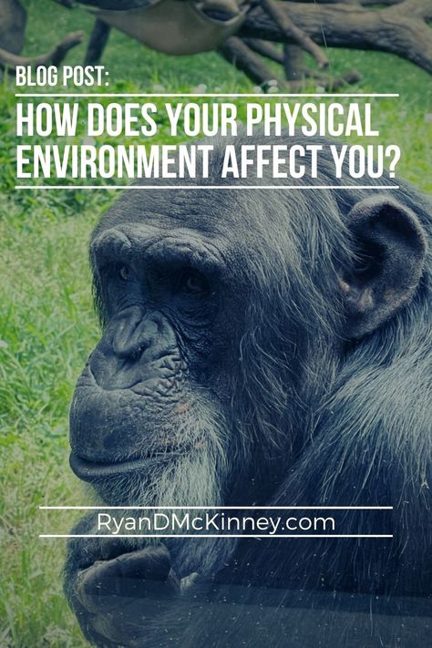 Check out the latest BLOG POST: How Does Your Physical Environment Affect You? (4 min read) ------------ Our physical environment can inspire success or unknowingly hold us back. What does your physical work environment say about you? Find out... #worklife #officespace #work #futureofwork #office #officedesign #workplacewellness #officerefurbishment #workplacedesign #workspace #workplace Toxic Positivity In The Workplace, Improving Workplace Culture, Workplace Wellness, Physical Environment, Work Environment, Workplace Design, Coaching Business, Work Space, Coaching