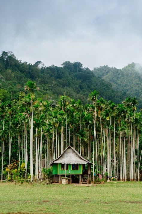 Guinea Country, Papa New Guinea, Scuba Diving Australia, Oceania Travel, We Were There, Pacific Islands, Destination Voyage, Travel Australia, New Guinea