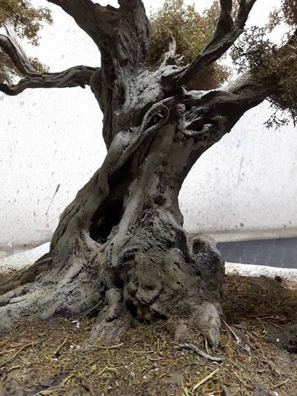 Weird Trees, Twisted Tree, Wire Trees, Old Tree, Old Trees, Tree Photography, Ancient Tree, Unique Trees, Tree Trunks