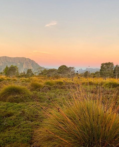 For six days last autumn, a ragtag band of walkers tackled the famed Overland Track and explored central Tasmania’s spectacular flora.⁠ ⁠ The track is Australia’s premier alpine walk and spans 65 kilometres from Cradle Mountain to Australia’s deepest lake, Lake St Clair.⁠ ⁠ Discover the wonders of the Overland Track — link in bio.⁠ ⁠ 📷 @honey.ginis⁠ 📍@tasmania Tasmania Aesthetic, Australia Mountains, Autumn In Australia, Aus Travel, Australia Autumn, Landscape Australia, Cradle Mountain Tasmania, Australia Nature, Central Australia