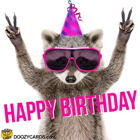 Birthday Raccoon, Happy Birthday Illustration, Funny Happy Birthday Wishes, Birthday Greetings Funny, Birthday Greetings Friend, Birthday Card Sayings, Happy Birthday Art, Happy Birthday Greetings Friends, Happy Birthday Wishes Cards