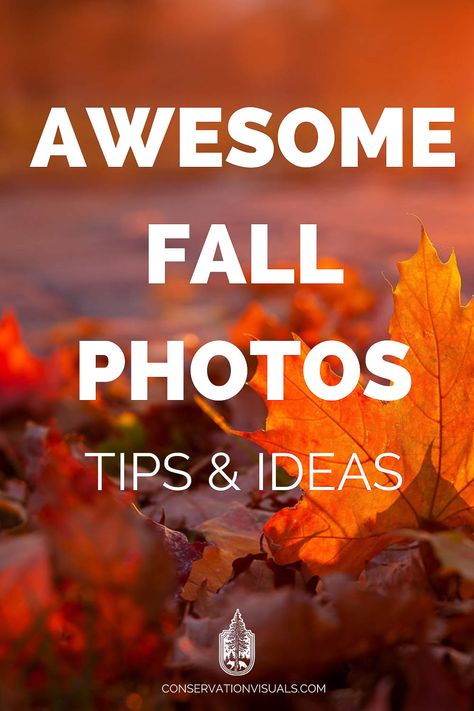 Camera Filter Settings, Autumn Pictures Photography, Photography Tricks Creative, Photo Composition Ideas, Autumn Session, Autumn Landscape Photography, Fall Nature Photography, Fall Foliage Photography, Autumn Photography Ideas