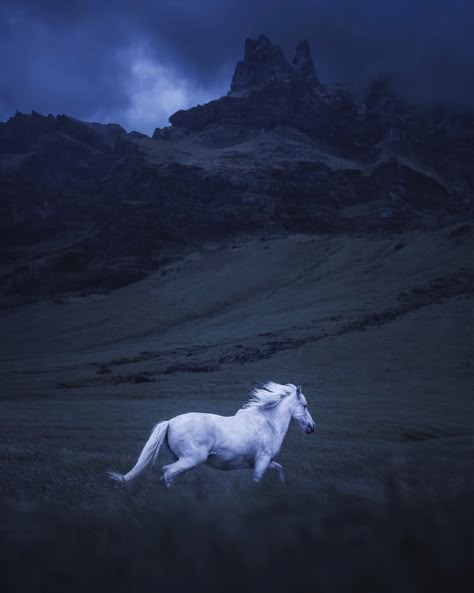 Wallpaper High Quality, Unicorn Pictures, Fantasy Horses, Horse Wallpaper, Unicorn Wallpaper, Icelandic Horse, Horse Aesthetic, Most Beautiful Horses, Blue Horse