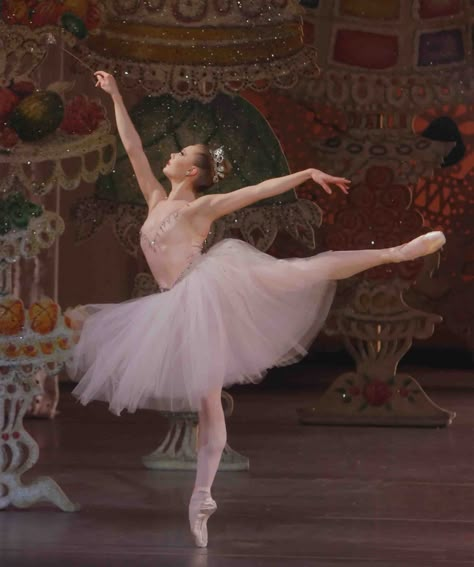 The Nutcracker Ballet, the Sugar Plum Fairy Sara Mearns, Ballet Nutcracker, Flower Tutu, Ballerina Aesthetic, Australian Ballet, Ballet Pictures, Tout Rose, Ballet Aesthetic, George Balanchine