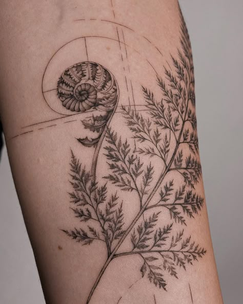 Floral and geometric 🤍 love to combine both • done at @giahi | Instagram Fern Chest Tattoo, Fiddlehead Tattoo, Fern Tattoo Sleeve, Fiddlehead Fern Tattoo, Geometric Nature Tattoo, Floral Sternum Tattoo, Geometric Tattoo Sleeve, Natur Tattoo Arm, Fibonacci Tattoo