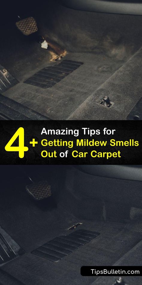 Mold spores create mildew odor and leave you needing a car odor eliminator. Make a white vinegar deodorizer or try carpet cleaning to get rid of a moldy or musty smell from your car. #get #mildew #smell #out #car #carpet Car Odor Eliminator, Mold Smell, Cleaning Car Upholstery, Diy Car Cleaning, Nissan Truck, Smell Remover, Carpet Smell, Car Carpet Cleaner, Carpet Deodorizer