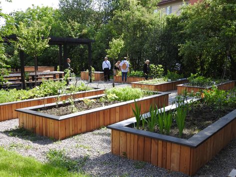 Krakow Community Gardens - The Innovation in Politics Institute Community Gardens, Natural Fence, Allotment Gardening, Urban Agriculture, Community Living, Community Garden, Community Park, School Garden, Better Homes And Garden