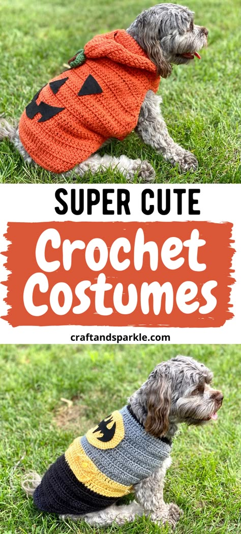 Get your pet enjoying Halloween with the rest of us! Here are 7 easy DIY costumes you can make for small dogs. Some are funny and some are just super cute but all you can make yourself! #dogcostume #petcostumes #halloweencostumes Dog Outfit Crochet Pattern, Funny Dog Sweaters, Crochet Dog Witch Hat, Free Crochet Dog Costume Patterns, Crochet Dog Sweater Fall, Crochet Small Dog Clothes, Crochet Patterns Dog Clothes, Crochet Costumes For Dogs, Crochet Dog Halloween Costume Free Pattern