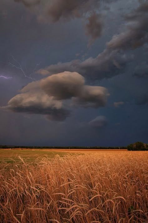 Deep South Aesthetic, Thunderstorm Clouds, Lightning Cloud, Sky Full Of Stars, Deep South, Southern Gothic, Wheat Fields, Dark Skies, Pretty Places