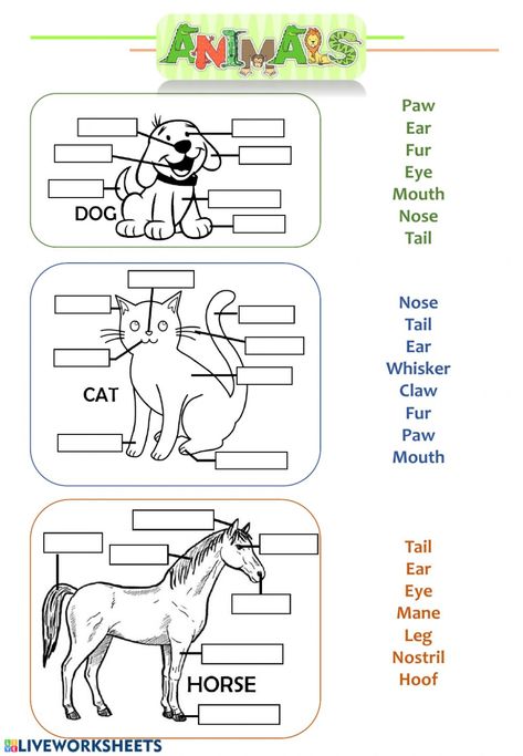 Ingles Kids, Animal Body Parts, Kindergarten Prep, English Activities For Kids, Animal Worksheets, English Exercises, Kids English, English For Kids, 1st Grade Worksheets