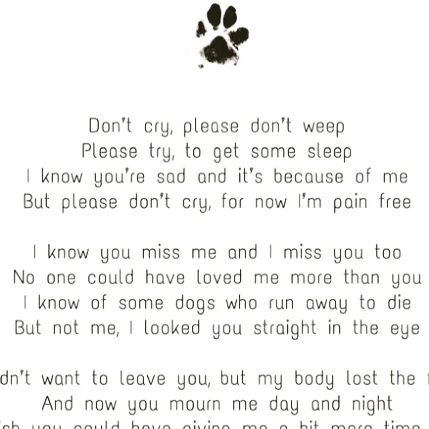 Dog Quotes Saying Goodbye, Love A Dog Quotes, Quotes For A Dog That Passed, Passing Of Dog Quotes, Losing Your Childhood Dog Quotes, Passed Dog Quotes, Goodbye To Pets Dogs, Missing My Cat Quotes, Message From Dog In Heaven